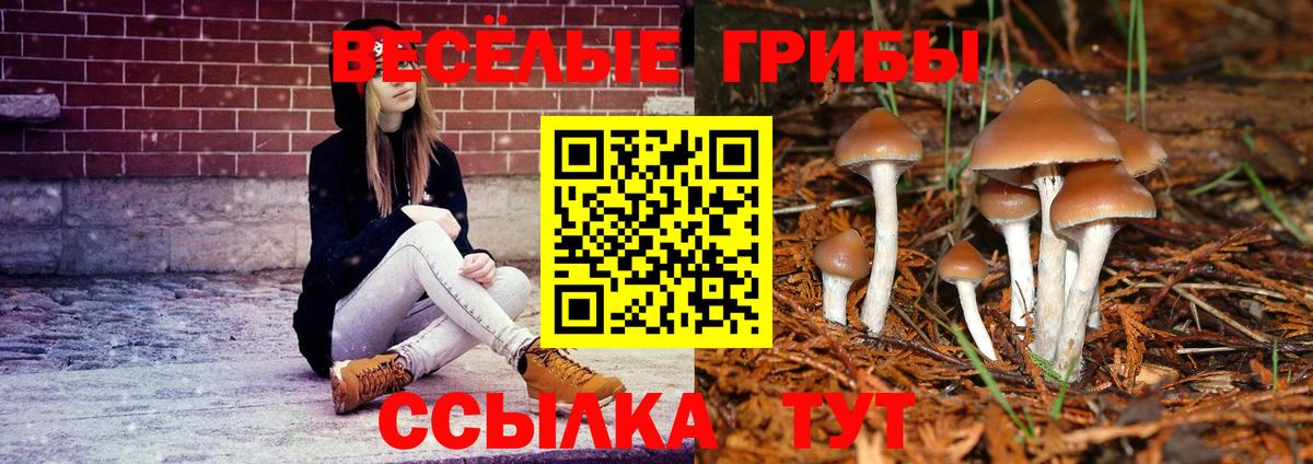 Галлюциногенные грибы мицелий Кострома