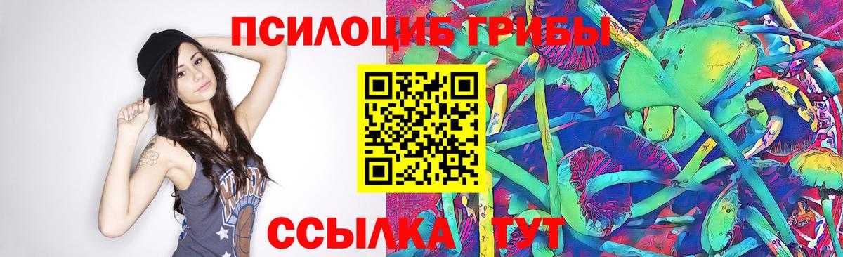 Кострома  Псилоцибиновые грибы ЛСД  Вход с VPN 
